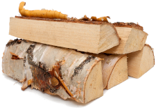 Kiln Dried Logs Wirksworth